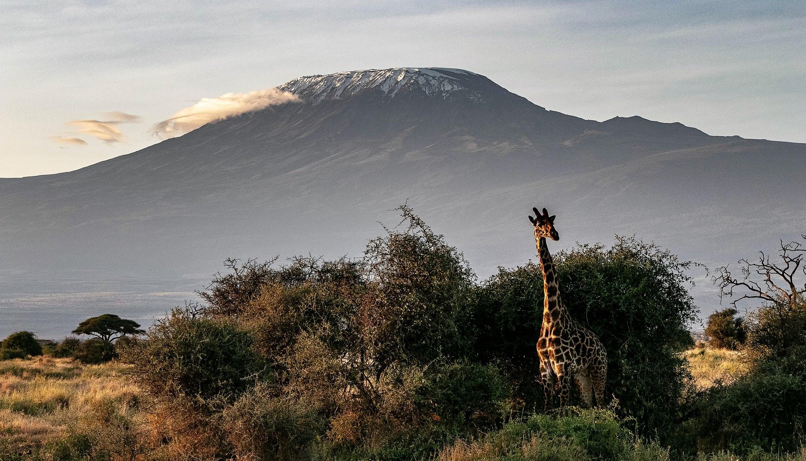 Kilimanjaro Climb & Wildlife Safari Combo