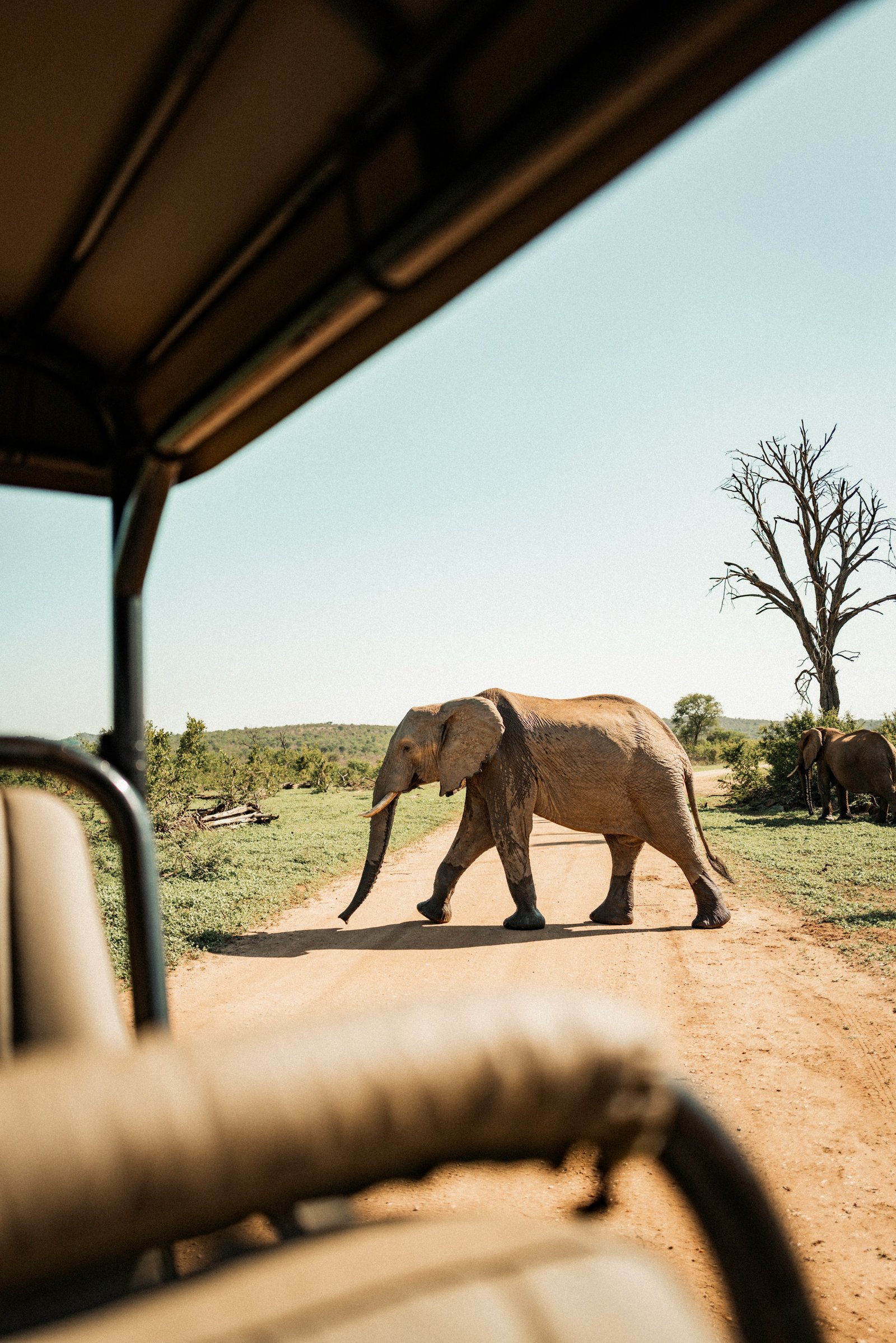 Northern Tanzania Short Wildlife Safari