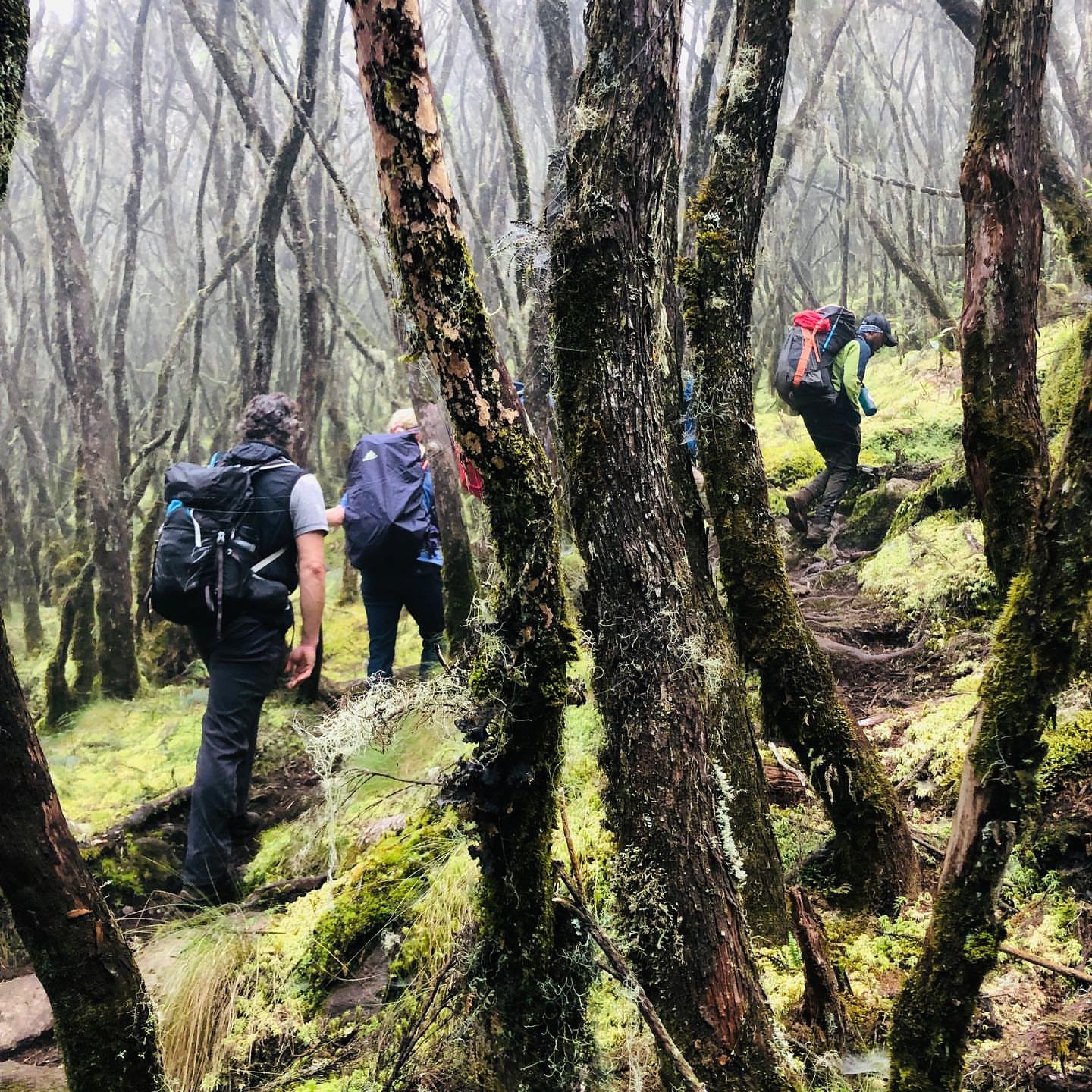 The golden rule is  "Pole pole" (pronounced po-le po-le), which means "slowly slowly" in Swahili. This is the key advice for altitude acclimatization and successfully reaching the summit.