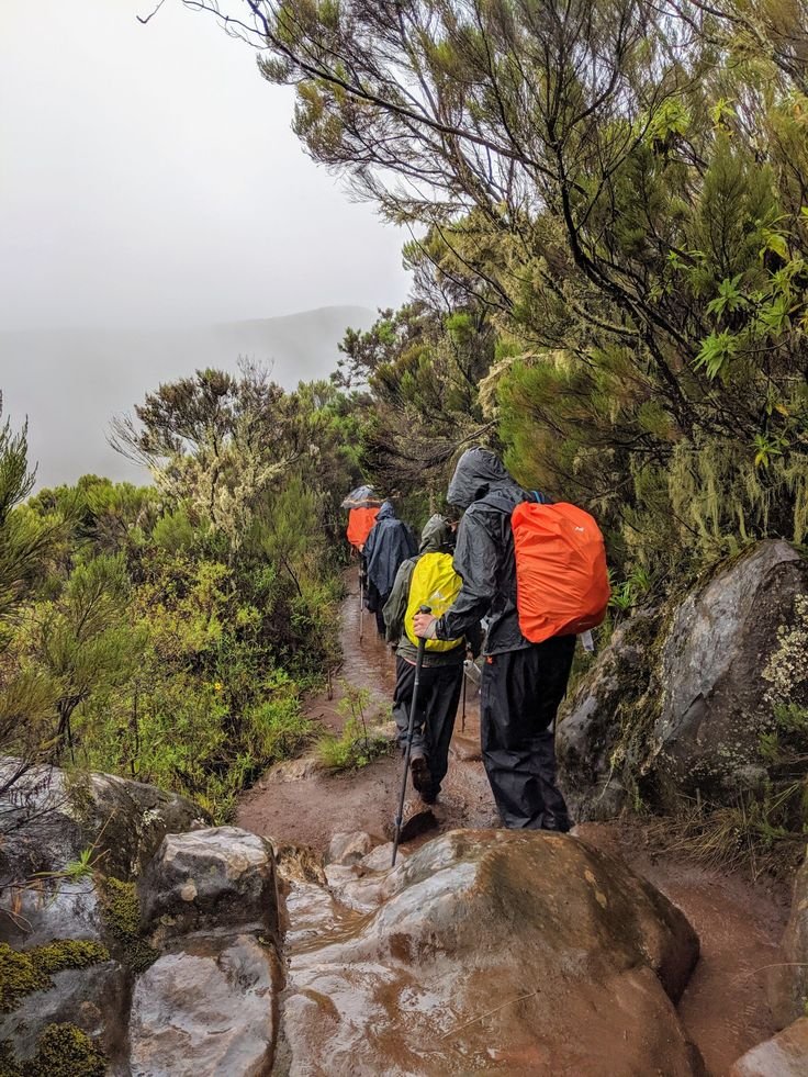 The golden rule is  "Pole pole" (pronounced po-le po-le), which means "slowly slowly" in Swahili. This is the key advice for altitude acclimatization and successfully reaching the summit.