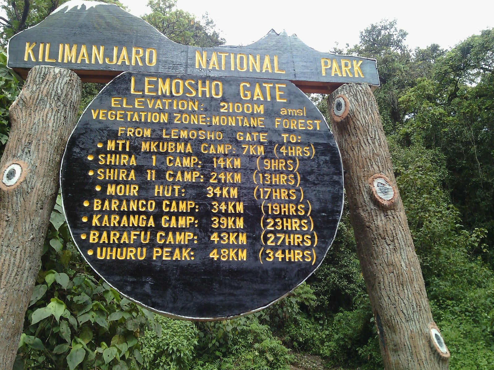 Mount Kilimanjaro scene 2