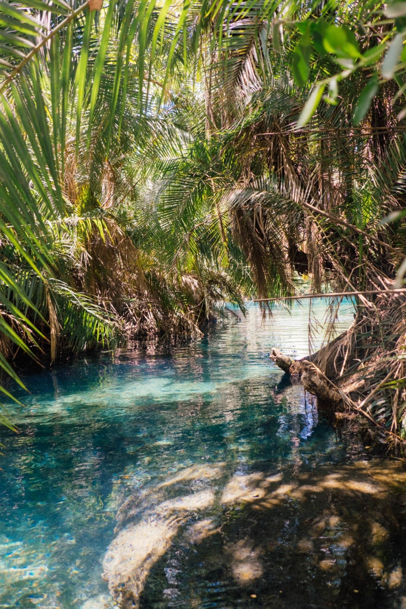An ethereal view of Chemka Hot Springs, with sunlight creating brilliant rays through the canopy above. The water reflects the vibrant green of the surrounding vegetation.