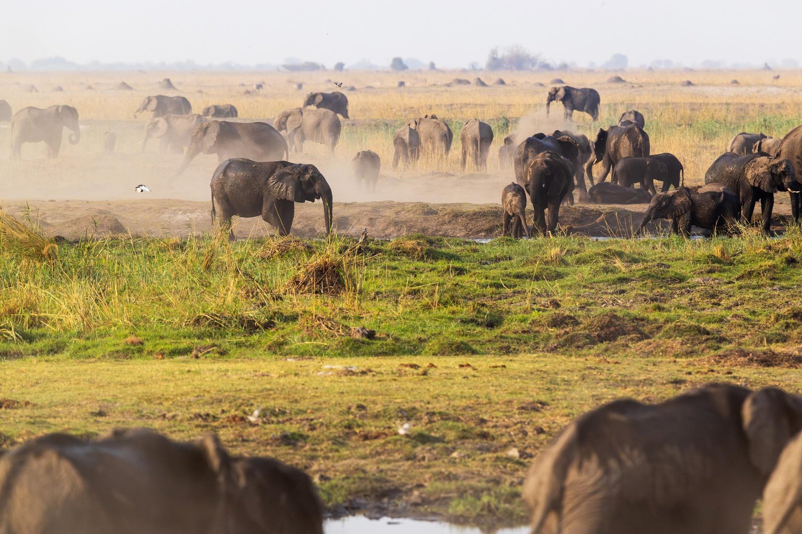 Tarangire National Park destination landscape