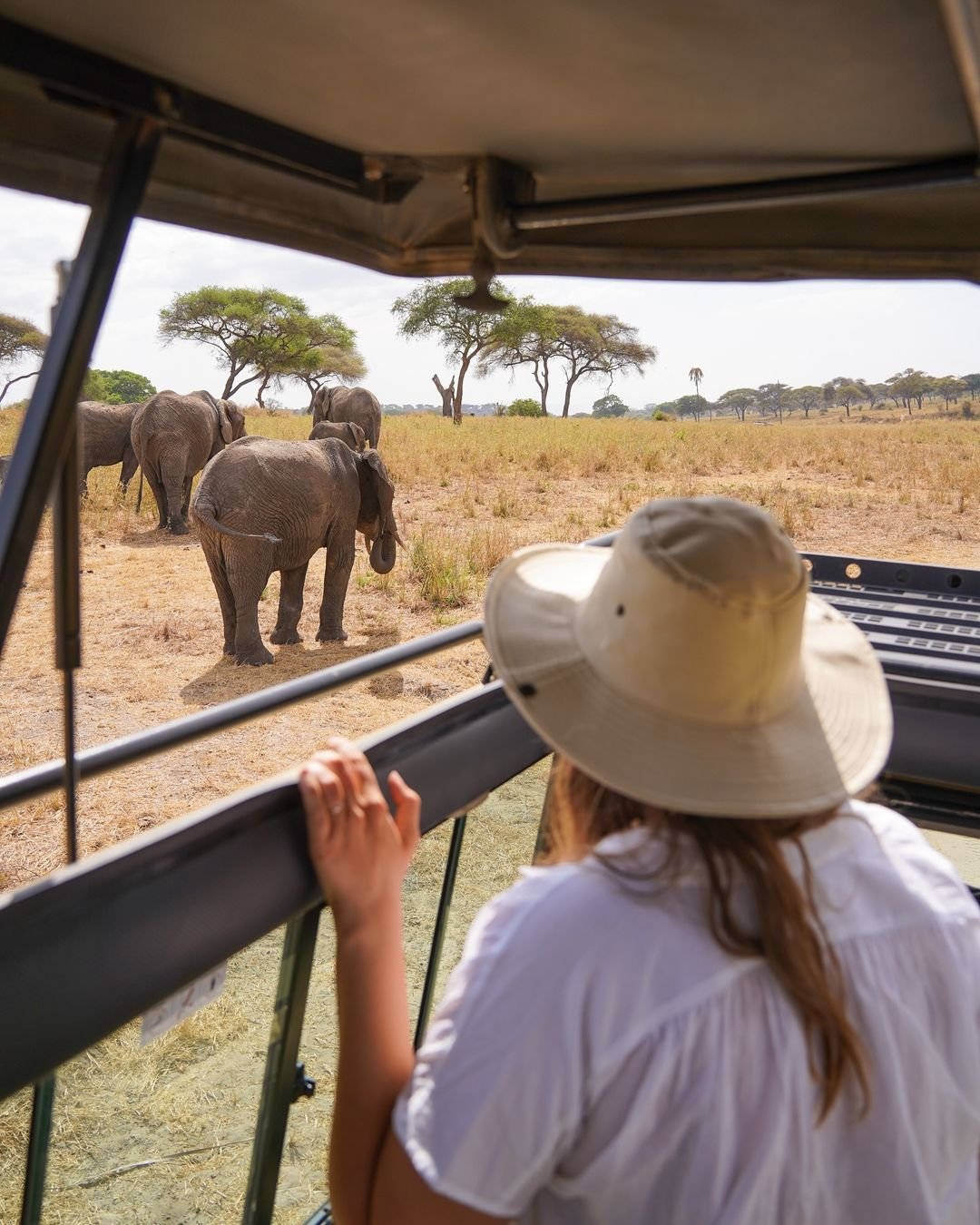 Lake Manyara scene 4