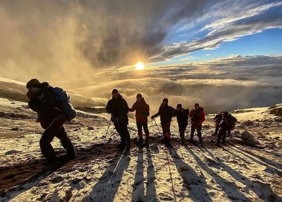 A group of luxury trekkers guided by professional local experts walking through the mist-shrouded rainforest of Kilimanjaro. The scene is lush and green with giant ferns and towering trees. The trekkers are wearing high-quality gear, reflecting a premium expedition atmosphere. The lighting is soft and diffused, creating a mystical and adventurous mood.