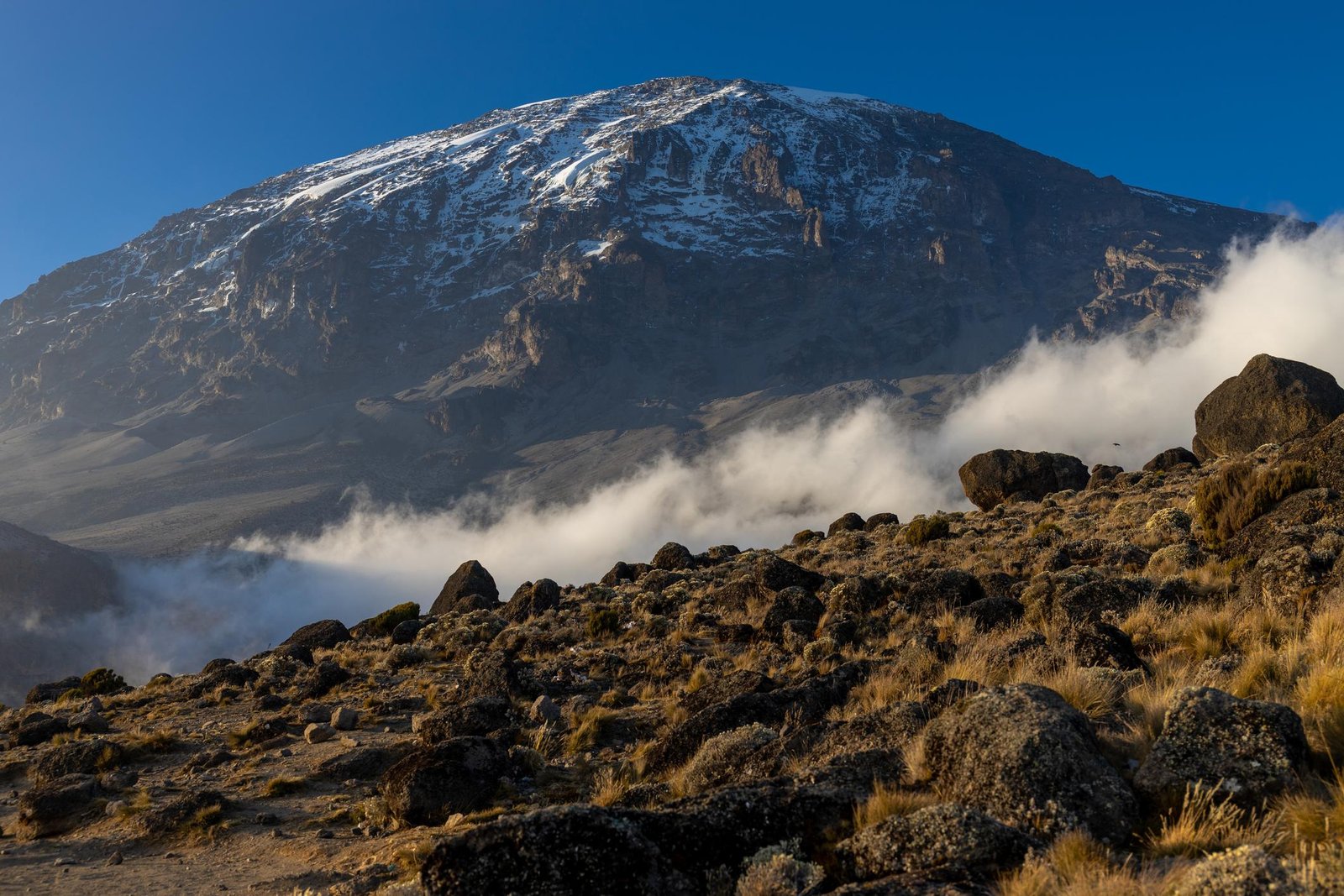 A majestic close-up of a group of trekkers silhouetted against the sunrise at Uhuru Peak, Kilimanjaro. The snow and ice formations are sharp and crystalline. The lighting is golden and ethereal, highlighting the triumph of the climbers. The aesthetic is one of peak physical achievement combined with high-end editorial travel photography.