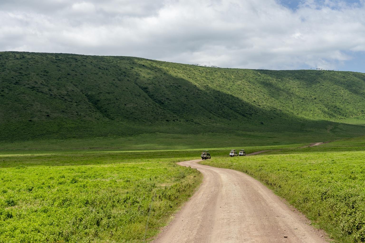 A lush, green aerial view of the Ngorongoro Crater, with its steep walls and the shimmering soda lake on the crater floor. Small dots of wildlife can be seen across the fertile plains. The lighting is bright and clear, highlighting the 'Eden of Africa' aesthetic. The composition is sophisticated, showcasing the unique geological wonder of the site.