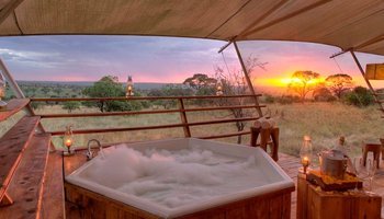 A romantic, luxury honeymoon dinner set up in the African bush at night, surrounded by glowing lanterns and a warm bonfire. The scene is elegant and cinematic, featuring white linen tables and a backdrop of the dark savanna under a starlit sky. Colors are warm gold and deep forest green.